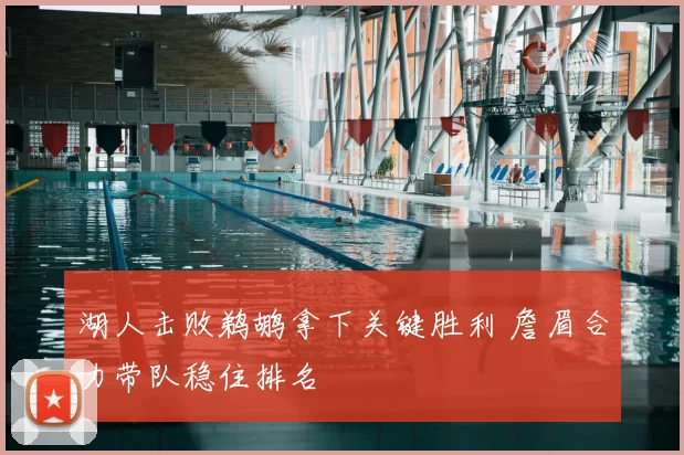 湖人击败鹈鹕拿下关键胜利 詹眉合力带队稳住排名